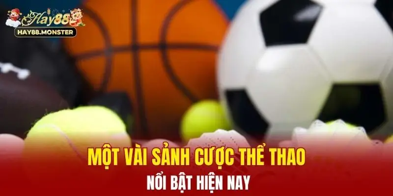 Một vài sảnh cược thể thao nổi bật hiện nay